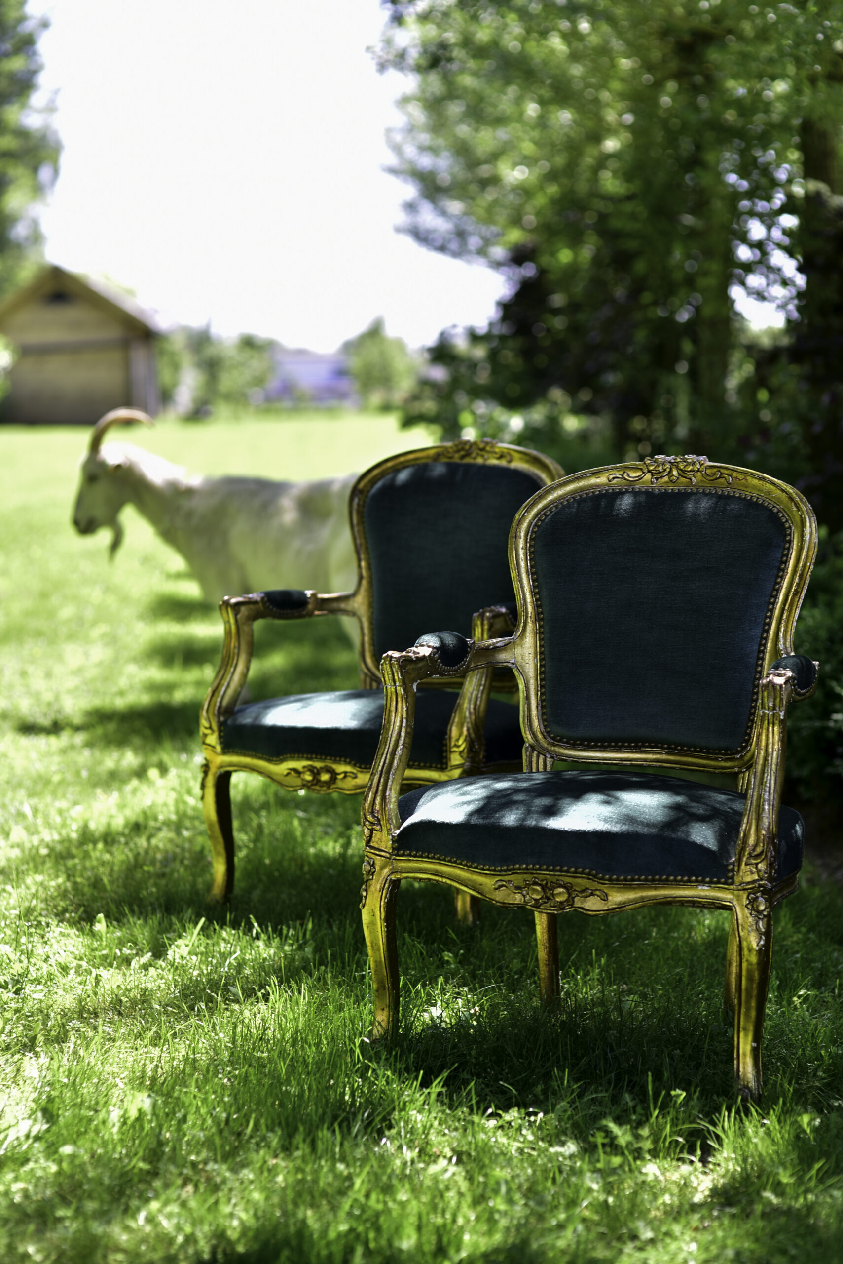 Deux fauteuils bergères en bois doré. Ancienne patine. Assise faite à l'ancienne (ressort et crin). Dimensions: H95 x L63 x P54 Couleur: vert bouteille Matériaux: Velours anglais Dimensions: H95 x L63 x P54 Couleur: vert bouteille Matériaux: Velours anglais